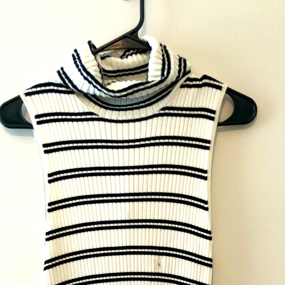 Express turtleneck sweater tank